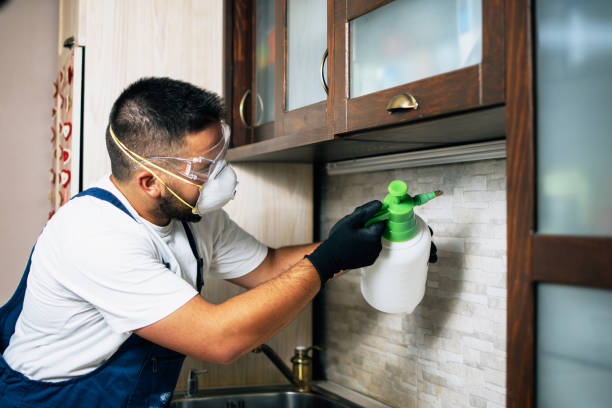 Best Bed Bug Extermination  in Apollo Beach, FL