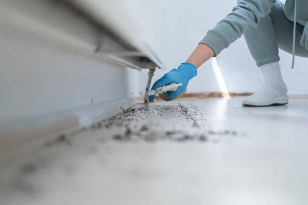 Wildlife Control Services in Apollo Beach, FL